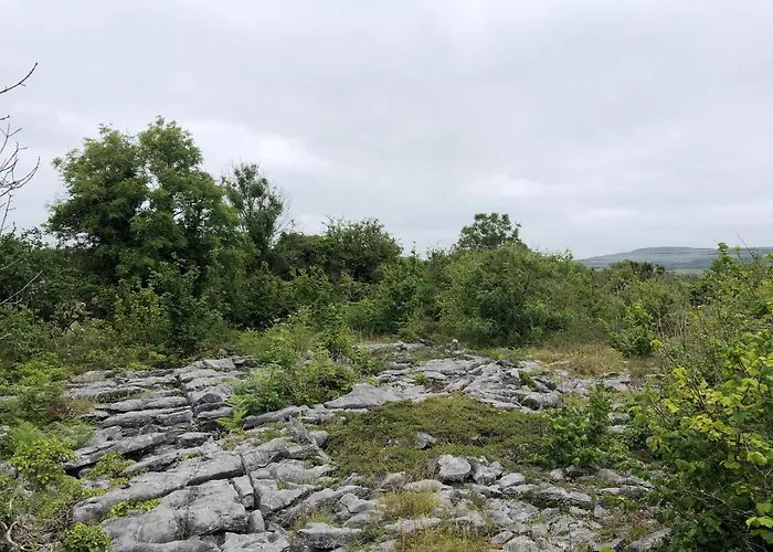 Ferienhaus Teach Talamh